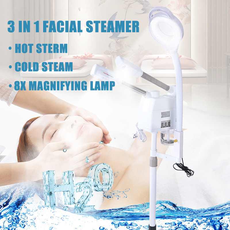 3 in 1 Facial Steamer Hot and  - Facial Steamer Nano Ionic Hot Mist 评论和价格
