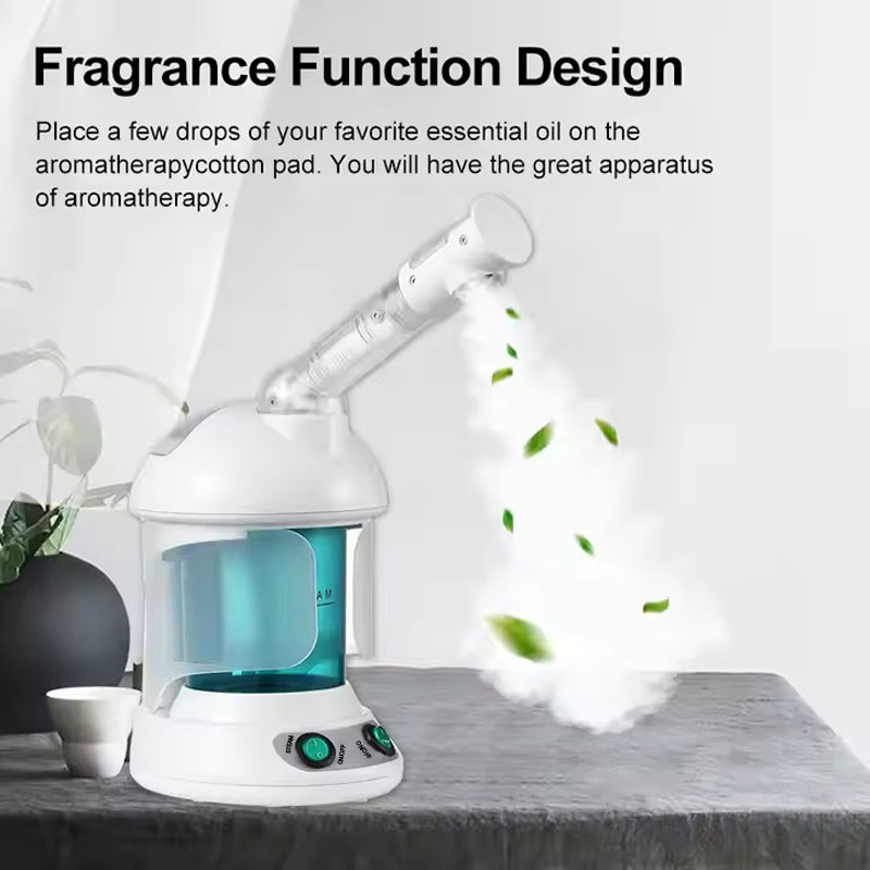 Professional Facial Steam Ozon - Facial Steamer Nano Ionic Hot Mist 评论和价格