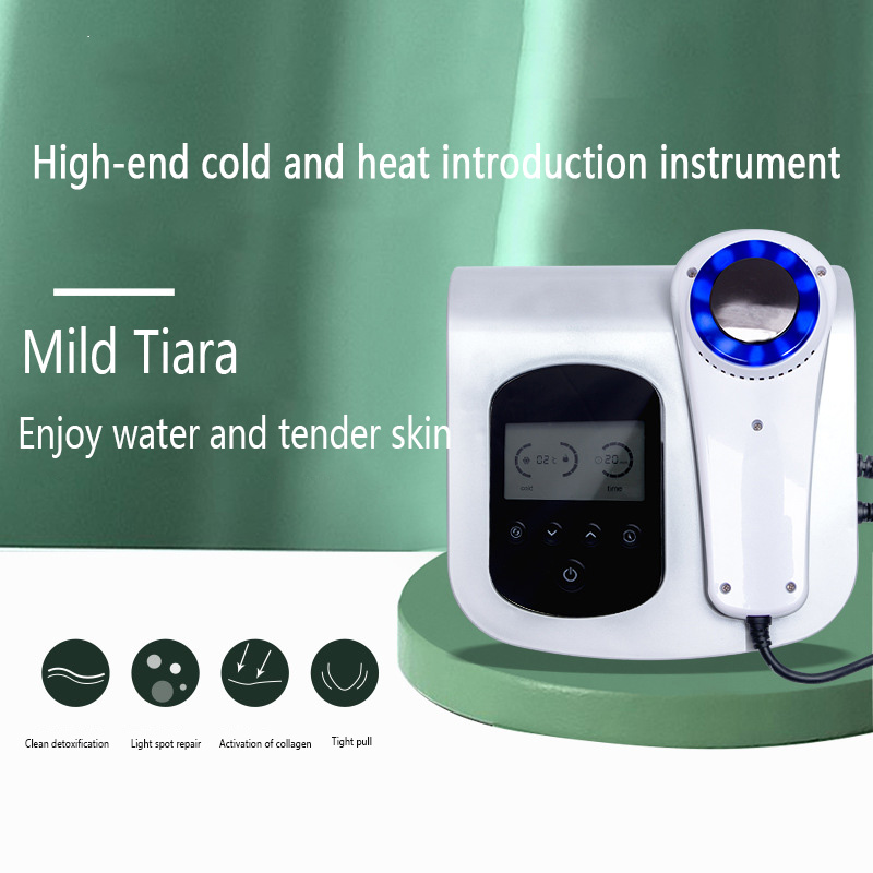 Facial Massager Photon Rejuven - Cold Warm Hammer Facial Machine 评论和价格