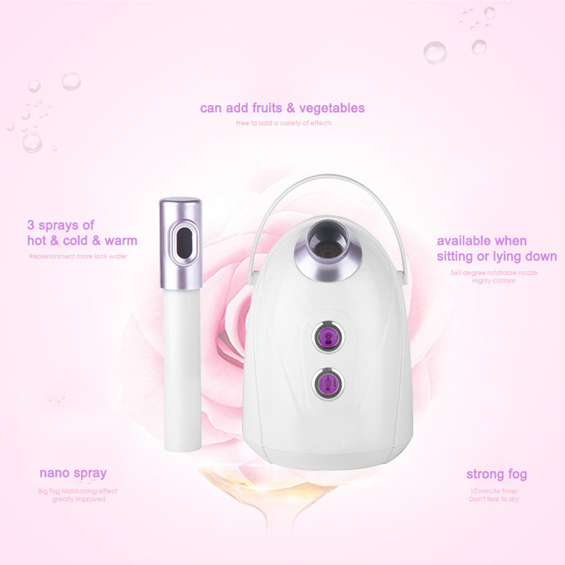 Home Salon Use Facial Steamer  - Facial Steamer Nano Ionic Hot Mist 评论和价格