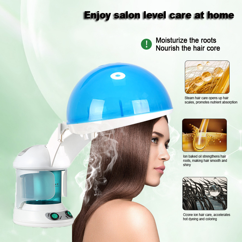 Household Electric Ionic Spa N - Facial Steamer Nano Ionic Hot Mist 评论和价格