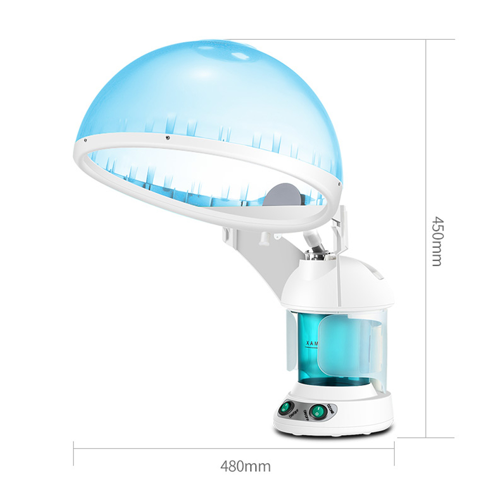 Household Electric Ionic Spa N - Facial Steamer Nano Ionic Hot Mist 评论和价格