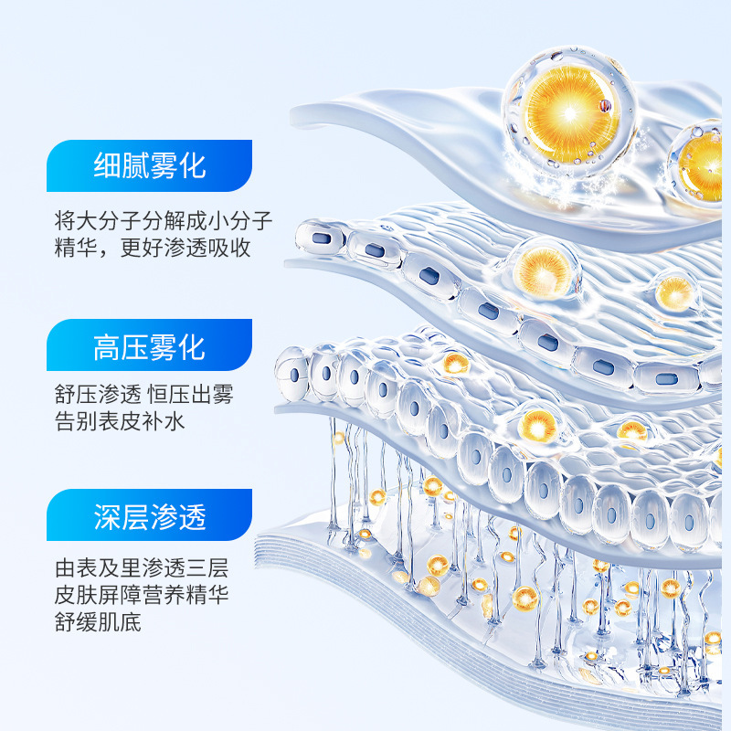 Handheld High Pressure Oxygen  - Oxygen Spray Gun Facial Injector 评论和价格