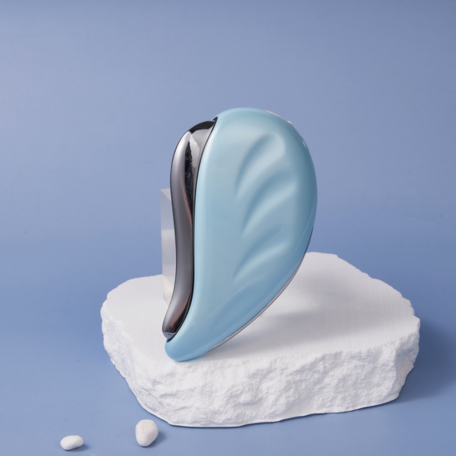 EMS Microcurrent LED Face Mass - Microcurrent Face Massager Gua Sha 评论和价格